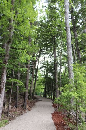 River Ridge Common 4 River Ridge Common 4