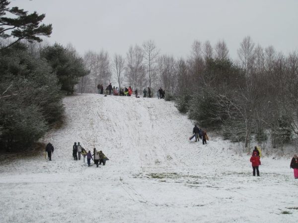 Downhill sledding at the MARC Downhill sledding at the MARC